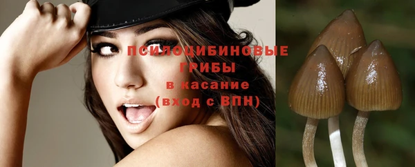 PSILOCYBIN Алексин