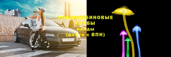 сатива Алзамай