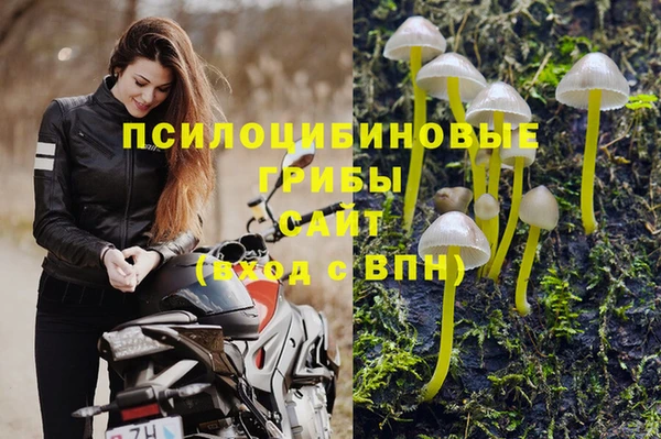 гидропоника Абаза