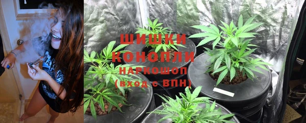 стаф Абдулино