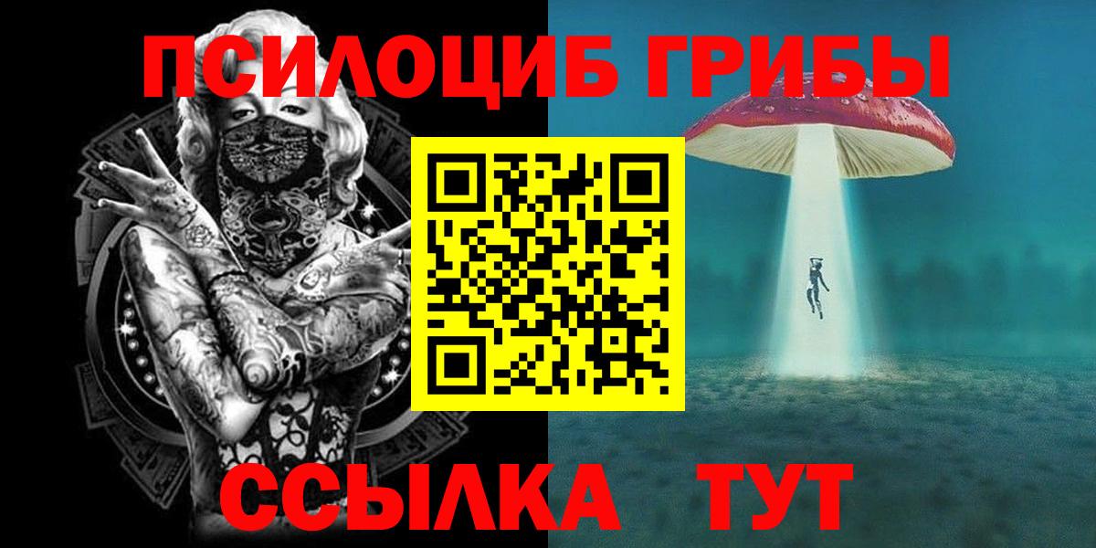 Людиново  Галлюциногенные грибы прущие грибы  Вход с VPN  Псилоцибиновые грибы Cubensis 